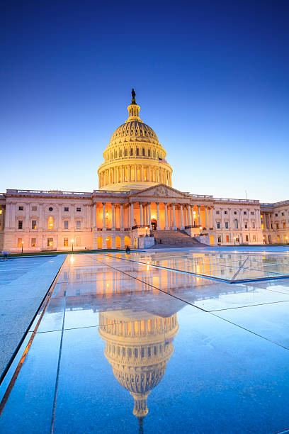 istock The United States Capitol building 492903225