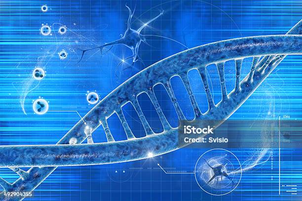 Dna Human Stock Photo - Download Image Now - Abstract, Biochemistry, Biology