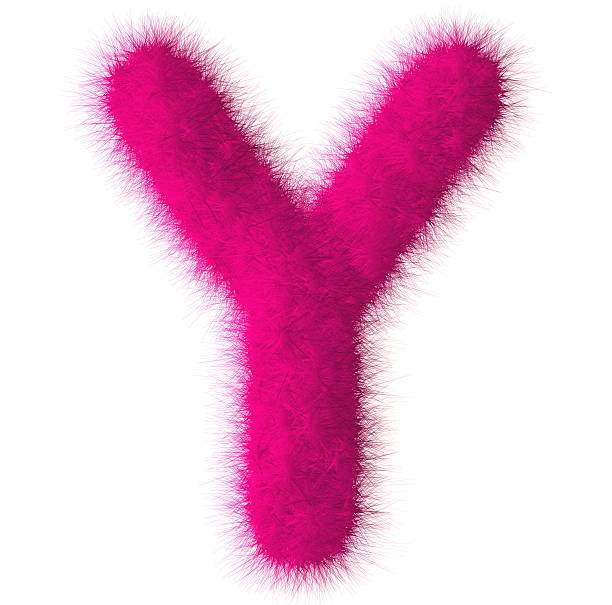 istock Pink shag Y letter isolated on white background 492904663