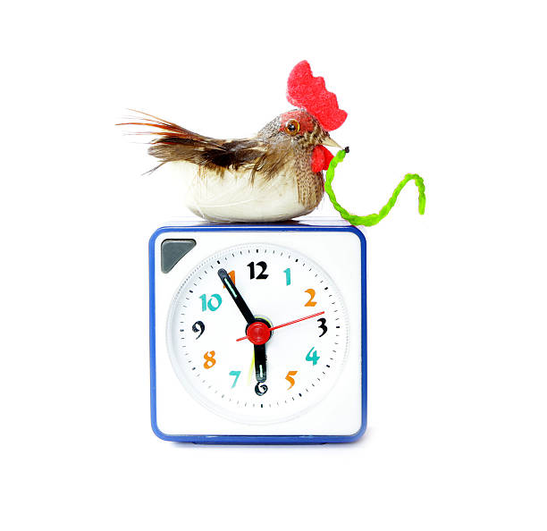 istock Early bird catches gets the worm proverb 492905918