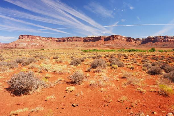 istock Canyonlands National Park 492907189