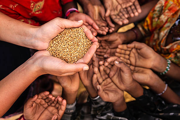 istock Hands of poor - asking for food, Africa 492907812