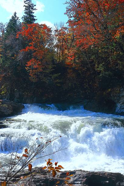 istock Sandandaki park of autumn leaves 492908890
