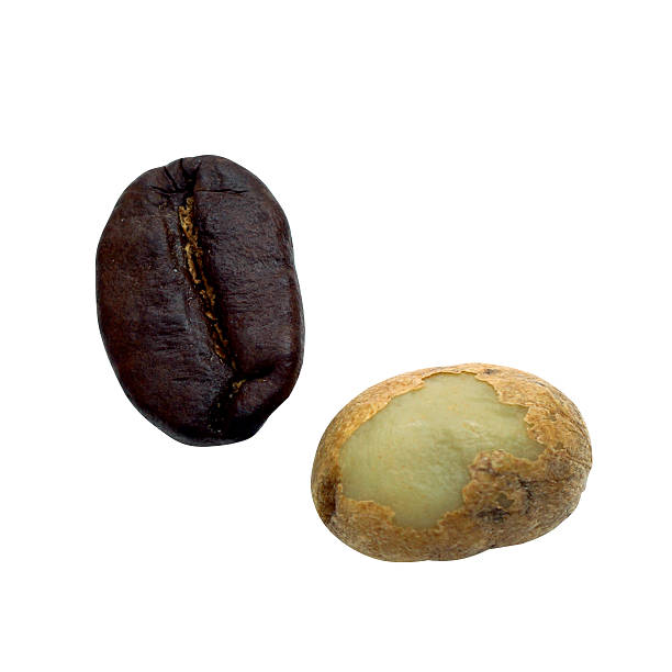 istock Roasted coffee beans And raw coffee beans 492909740