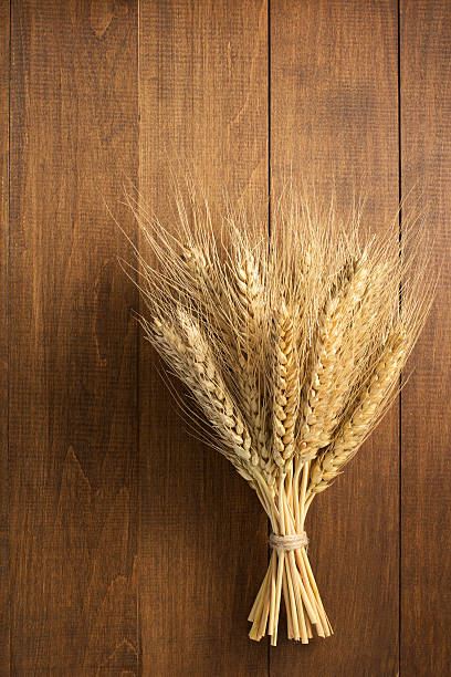 istock ears of wheat on wood 492910688