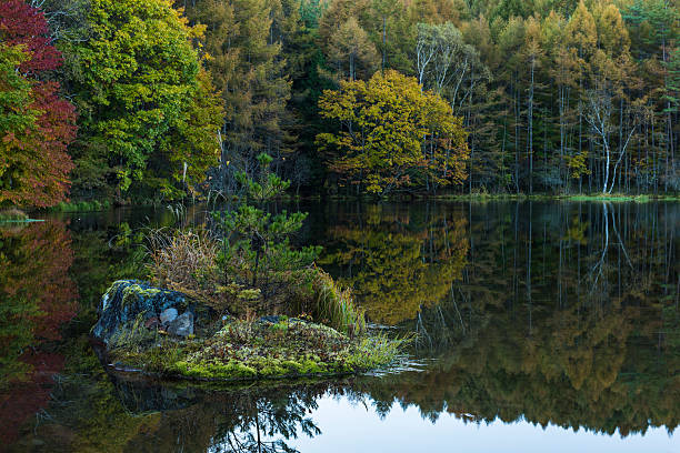 istock Lake of autumn leaves 492913052