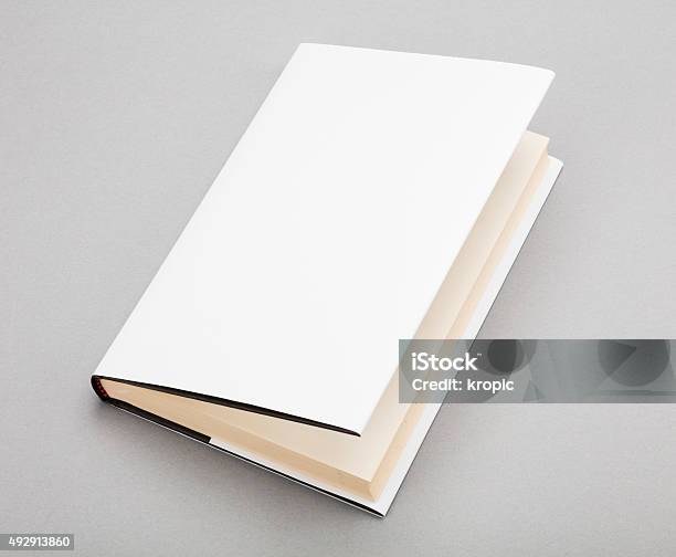 Weiße Leere Buch Cover 5 5 X 13 In Stockfoto und mehr Bilder von 2015 - 2015, Angelehnt, Artikel - Publikation