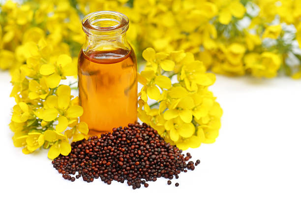 istock Mustard with oil and flower 492914082