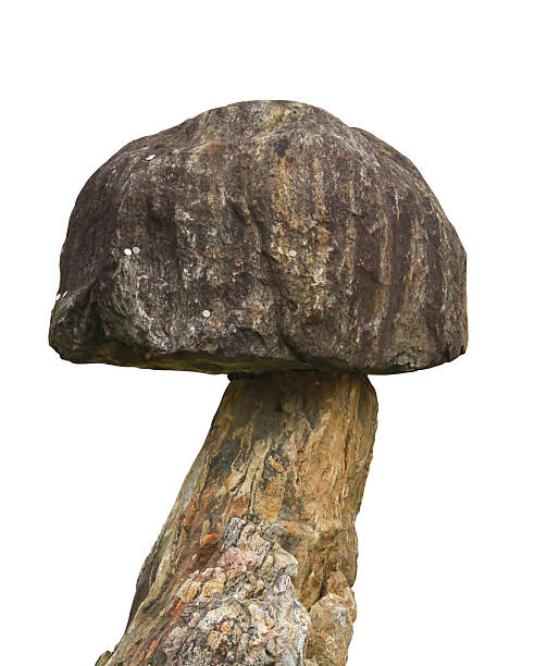 istock Close up Statue of mushroom on white background 492914164