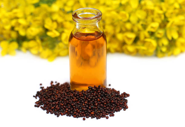 istock Mustard with oil and flower 492914202