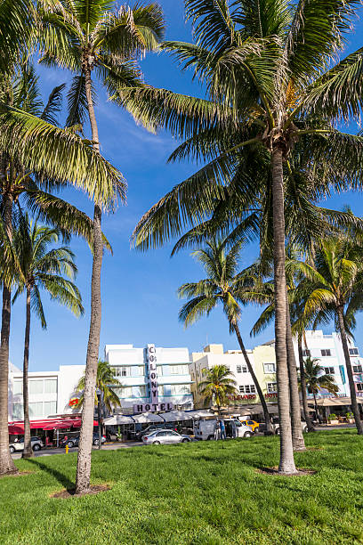 la célèbre avenue ocean drive, à miami avec palmiers - colony photos et images de collection