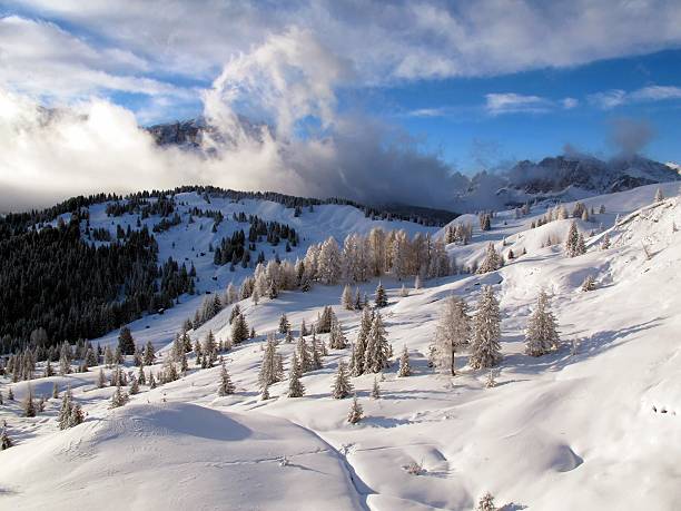 istock Snowy slope with white trees covered in snow 492915166
