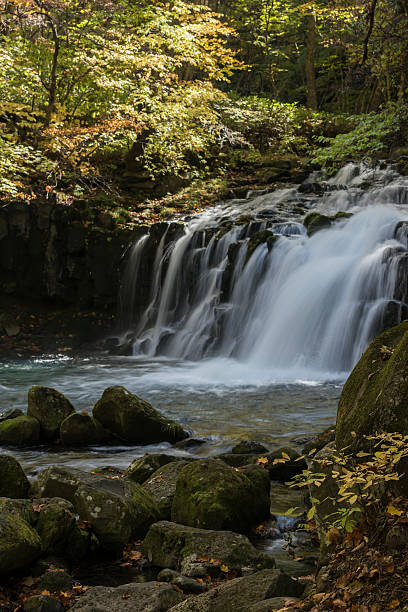istock Waterfall of autumn leaves 492915256