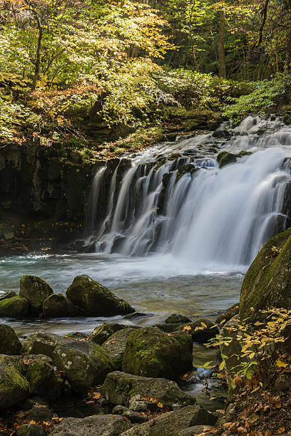istock Waterfall of autumn leaves 492915324