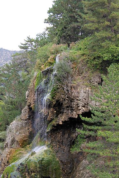 istock Natural waterfall in the mountains Preserve 492915792