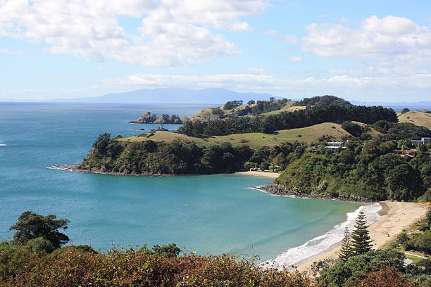 istock Palm Beach at Waiheke Island 492916474