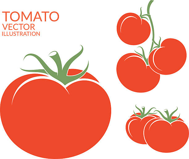 stockillustraties, clipart, cartoons en iconen met tomato. isolated vegetables on white background - tomaat