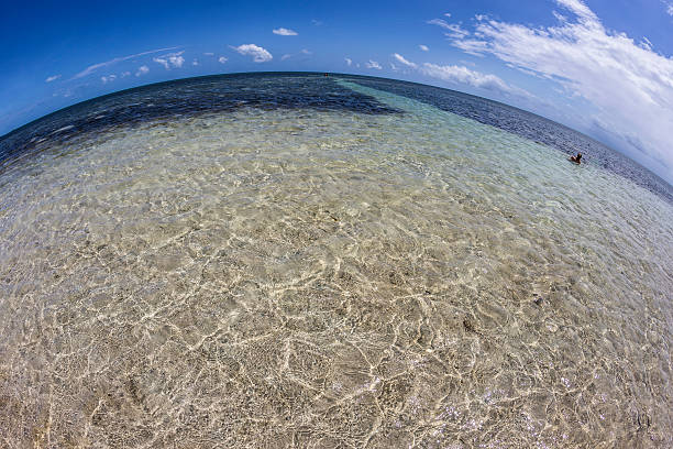 istock people enjoy the beautiful  beach in the Keys 492918664