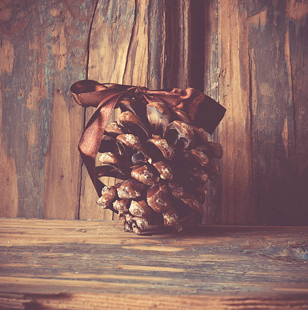 istock The cone of a coniferous tree with a brown bow 492918802