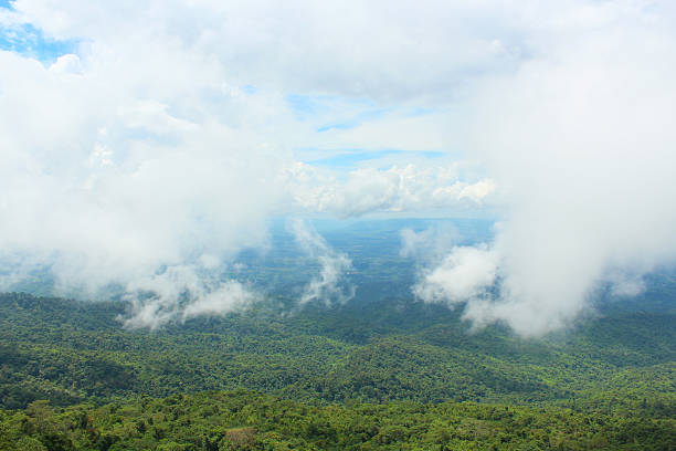 istock On top of mountain 492918874