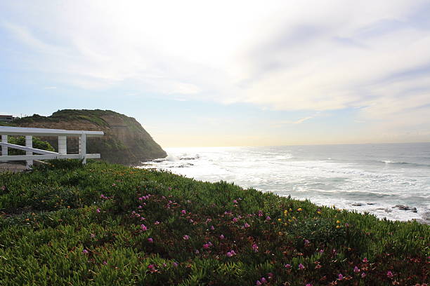 istock Bar Beach in Newcastle 492919118
