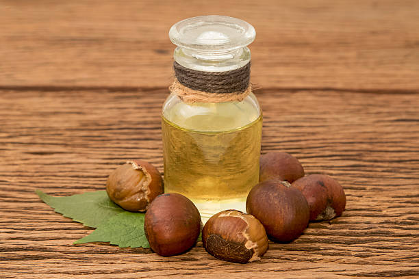 istock Organic cosmetics from chestnut oil 492919798