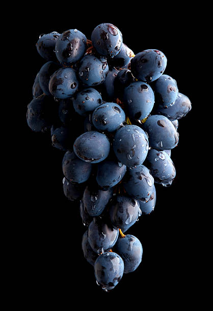 istock Branch of wet grape over black background 492919866