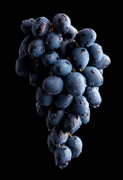 Branch of wet grape over black background stock photo