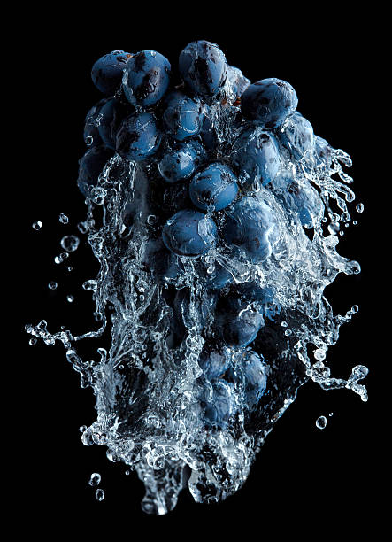 istock Branch of grapes  with water splash 492920218