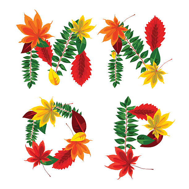 ilustrações de stock, clip art, desenhos animados e ícones de outono alfabeto. m, n, o, p. conjunto de cartas de outono. - letter m alphabet color image flower