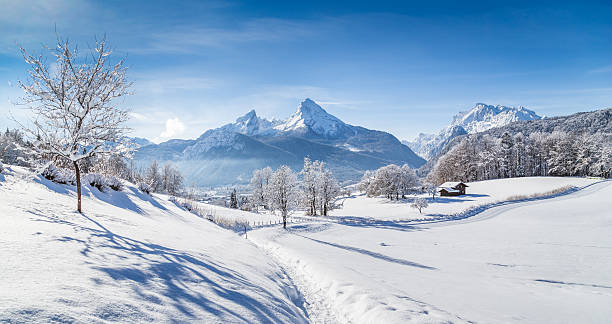 Winter wonderland scenery with hiking trail in the Alps Beautiful winter scenery with trees and mountain tops in the Alps on a sunny day with blue sky and clouds. upper bavaria stock pictures, royalty-free photos & images