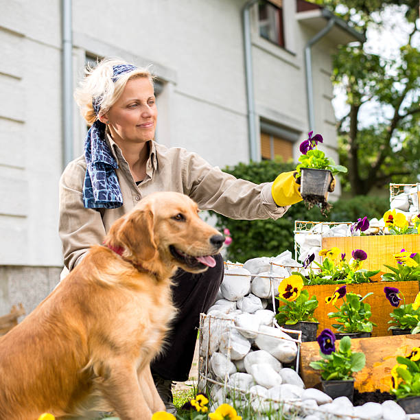 istock Woman and her Dog 492944534