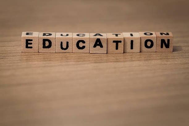 istock Education in wooden cubes 492945706