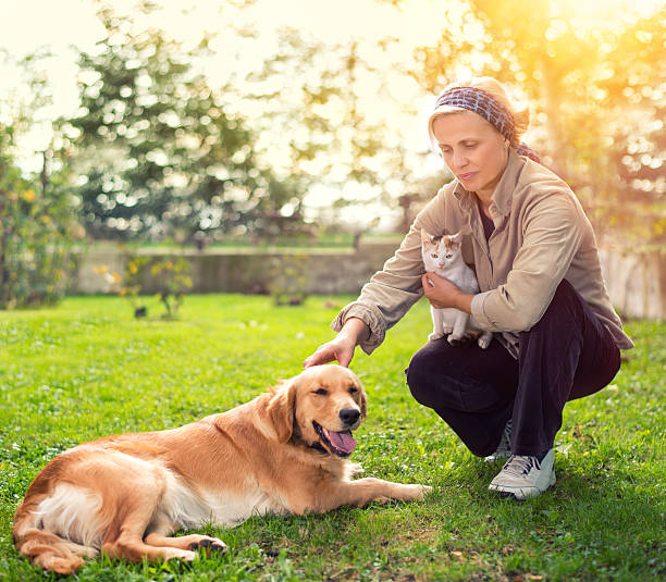 donna di relax all'aperto con animali domestici - golden retriever friendship white small foto e immagini stock