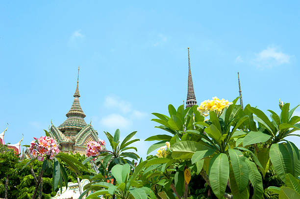 flores e templo tailandês em banguecoque - stupa royal stupa local landmark national landmark imagens e fotografias de stock