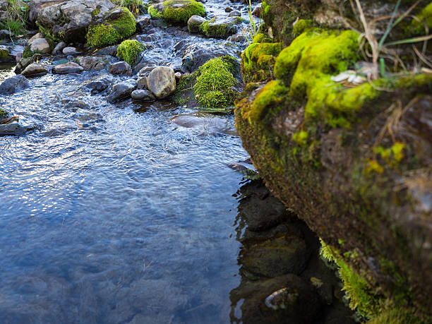 горы источников чистой воды - river spring autumn stream стоковые фото и изображения