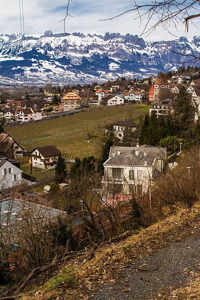 istock Stree view of Vaduz, Liechtenstein. 492961495