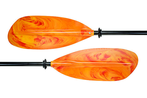 istock colorful kayak paddle 492961751