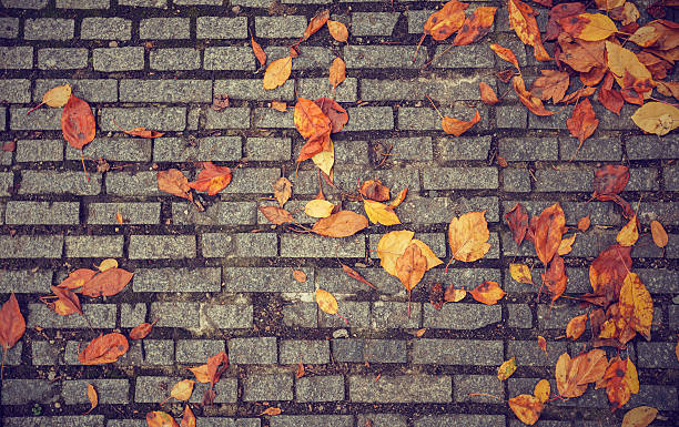 istock texture with paving stones and yellow leaves 492962642