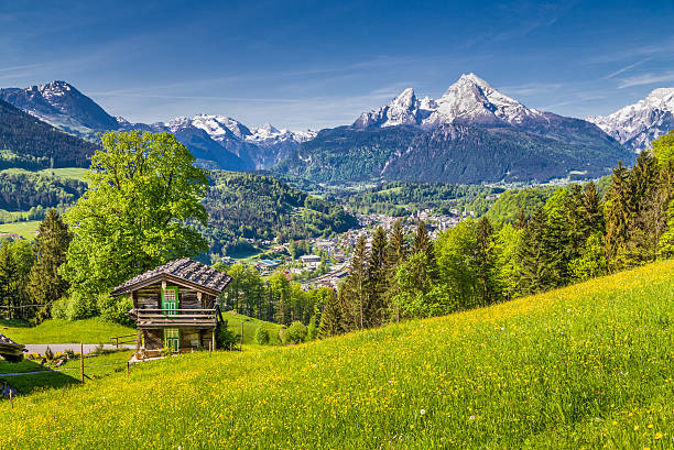 istock Idyllic landscape in the Alps with mountain chalet in springtime 492962672