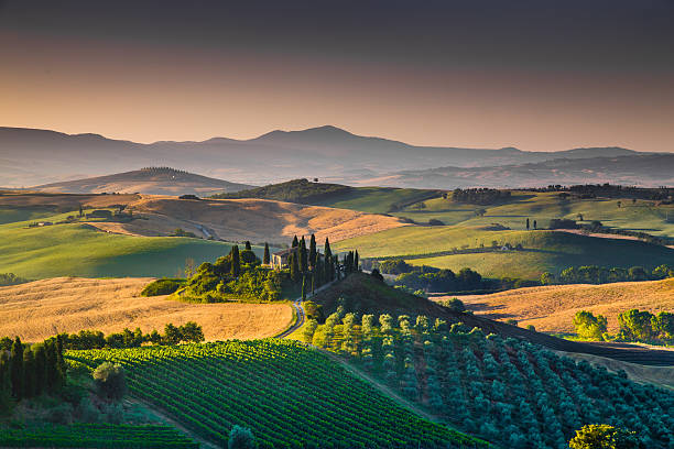 paysage pittoresque de la toscane au lever du soleil, val d'orcia, italie - val dorcia photos et images de collection