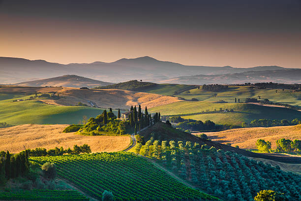 pitoresca paisagem toscana ao nascer do sol, val d'orcia, italy - val dorcia imagens e fotografias de stock