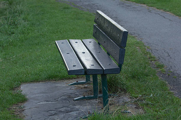 istock Wooden bench next to a walkway 492963380