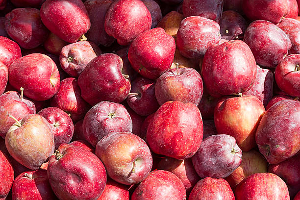 istock Many fresh red apple in a pile 492963717