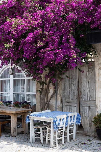 Alacati Street Cafe