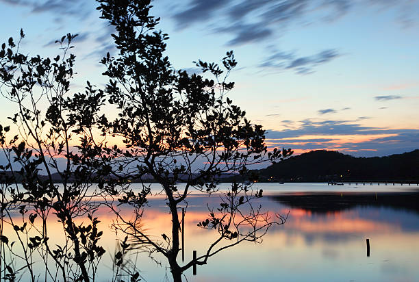 Long exposure view of the Kincumber Broadwater at dusk with silhouettes.  Motion in clouds and some leaves