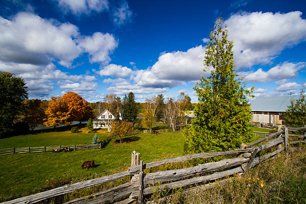 istock Autumn On The Farm 492965008