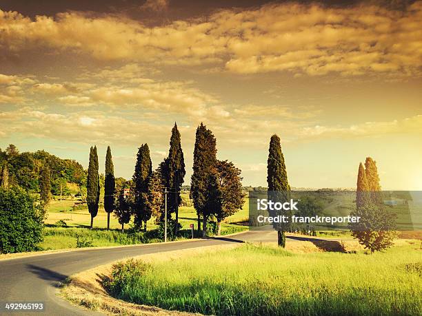 Curve Road At Sunset Stock Photo - Download Image Now - Agricultural Field, Country Road, Curve