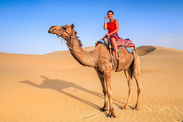joven turista mediante teléfono móvil en un camello, rajastán de india - camel ride fotografías e imágenes de stock