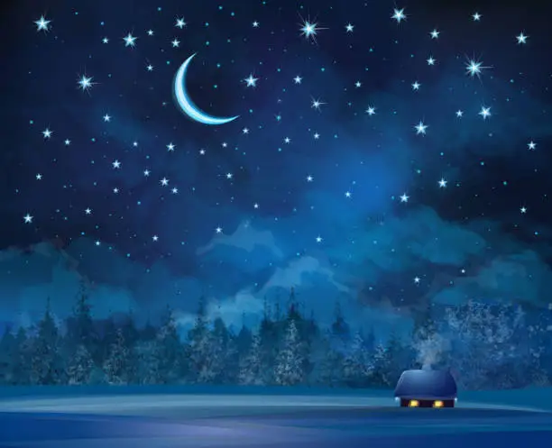 Vector illustration of Vector night scene with house on starry sky background.